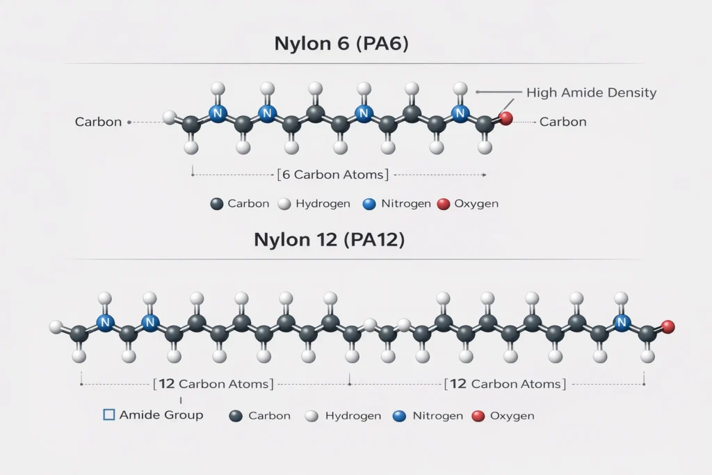 Technical diagram comparing the molecular structure of Nylon 6 and Nylon 12, highlighting the difference in amide group spacing and carbon chain length